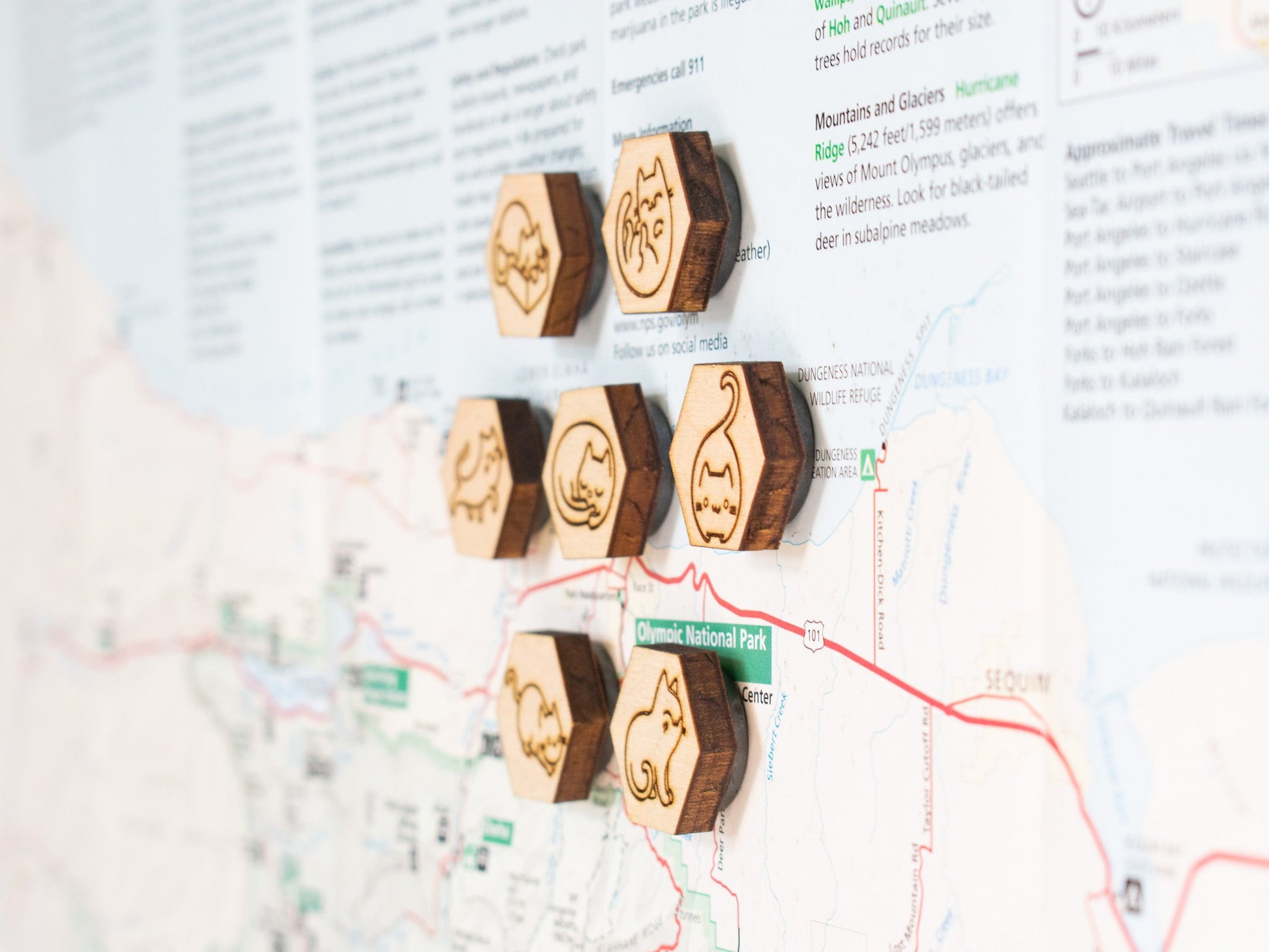 Cat Magnets, Gift for Cat Lovers, Cute Cat Decor