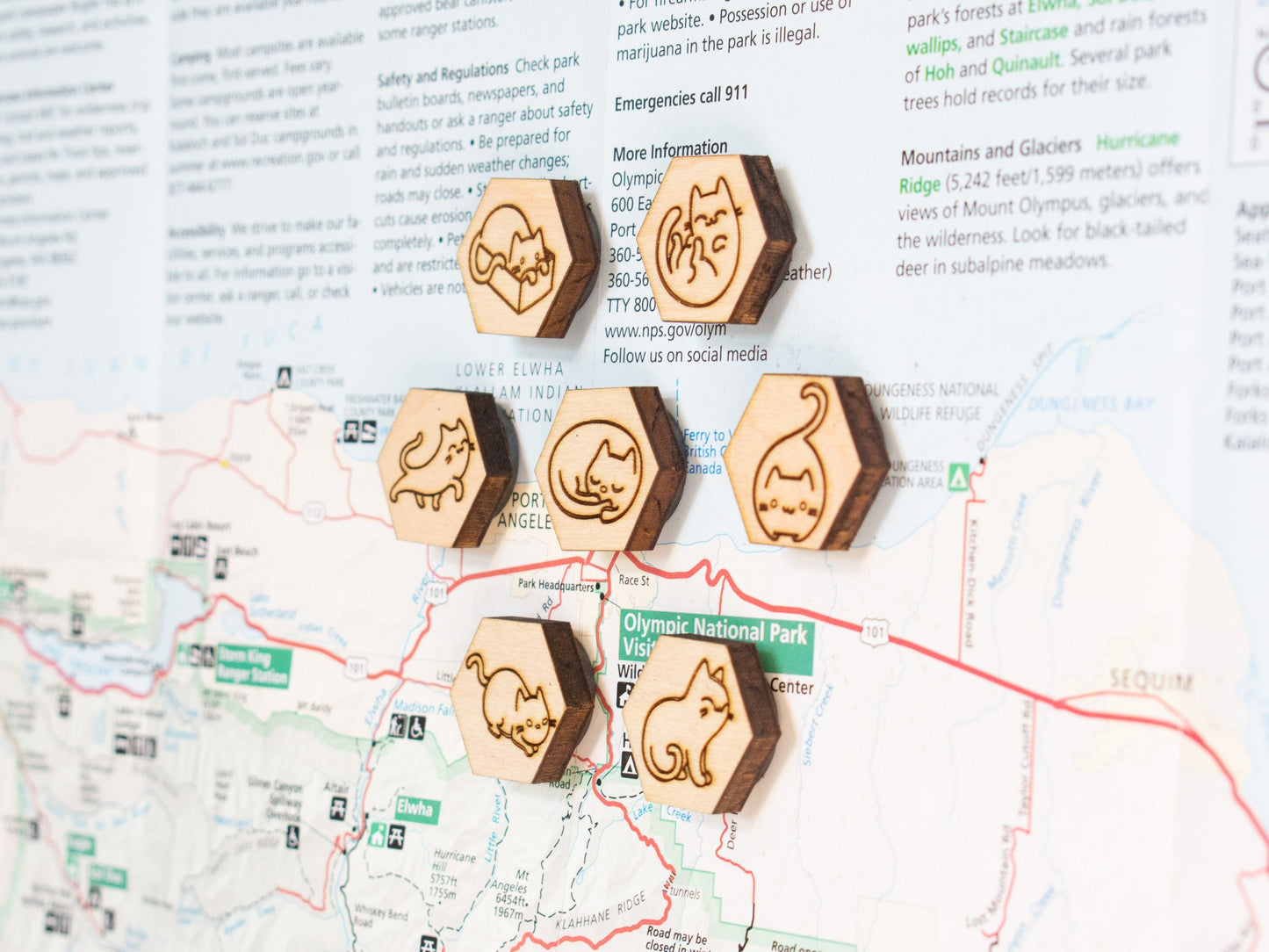 Cat Magnets, Gift for Cat Lovers, Cute Cat Decor