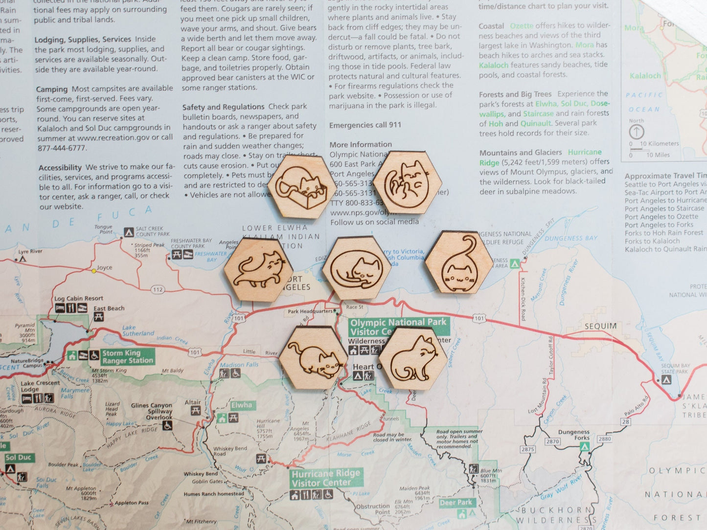 Cat Magnets, Gift for Cat Lovers, Cute Cat Decor