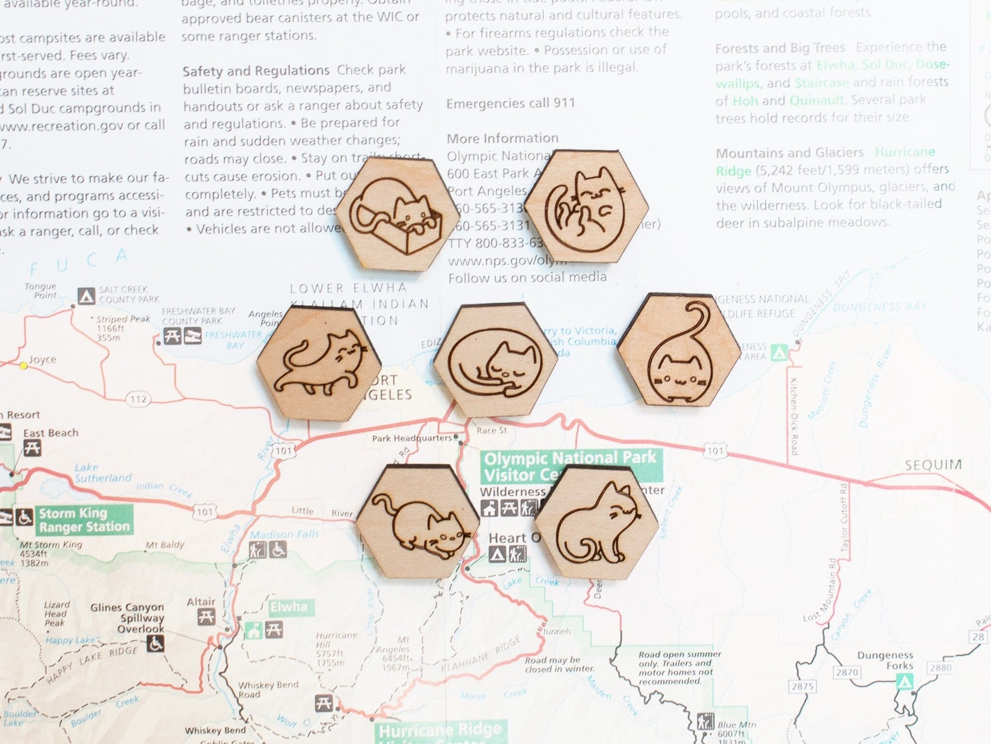 Cat Magnets, Gift for Cat Lovers, Cute Cat Decor