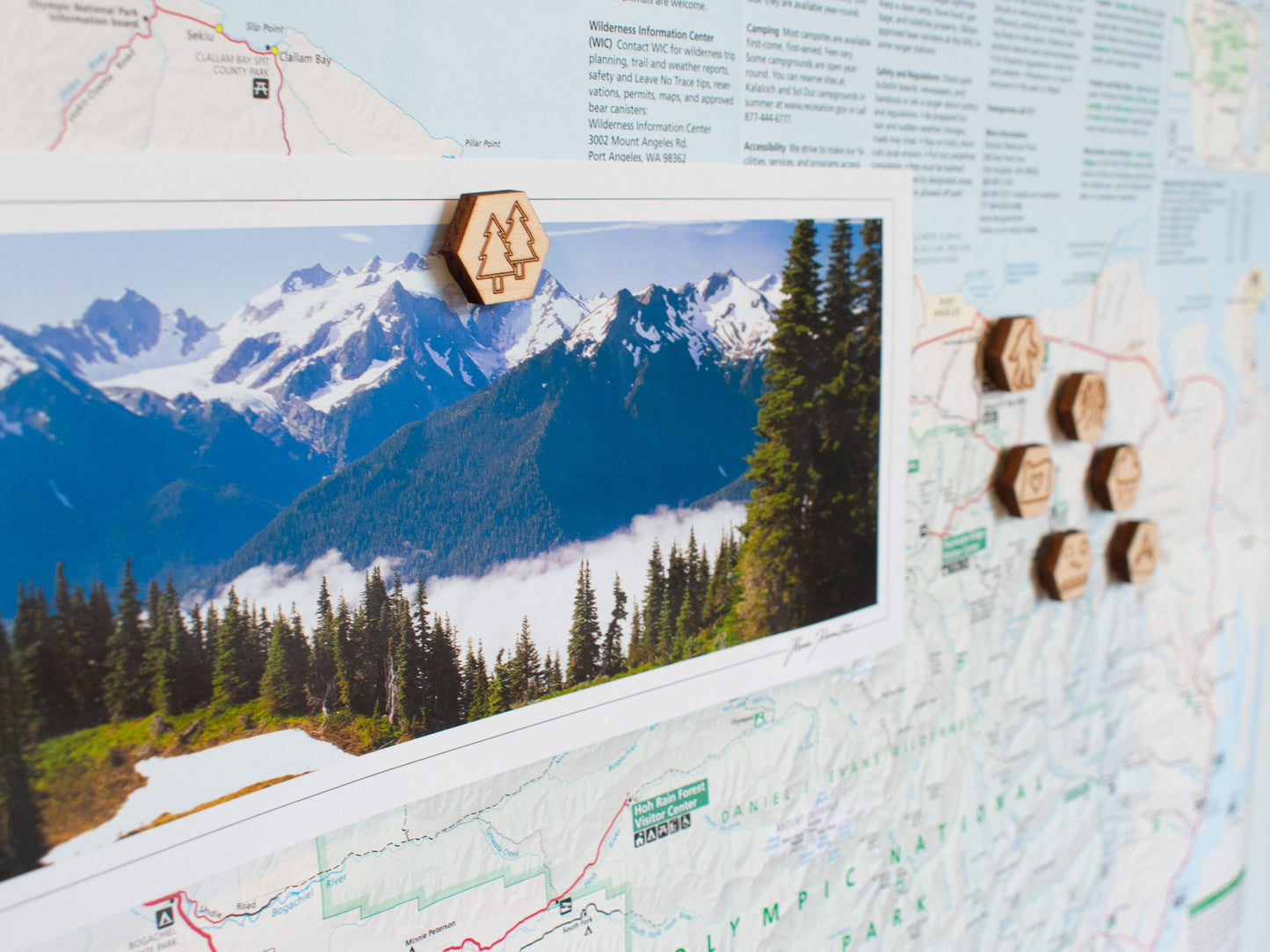 Oregon Magnets, Set of 7