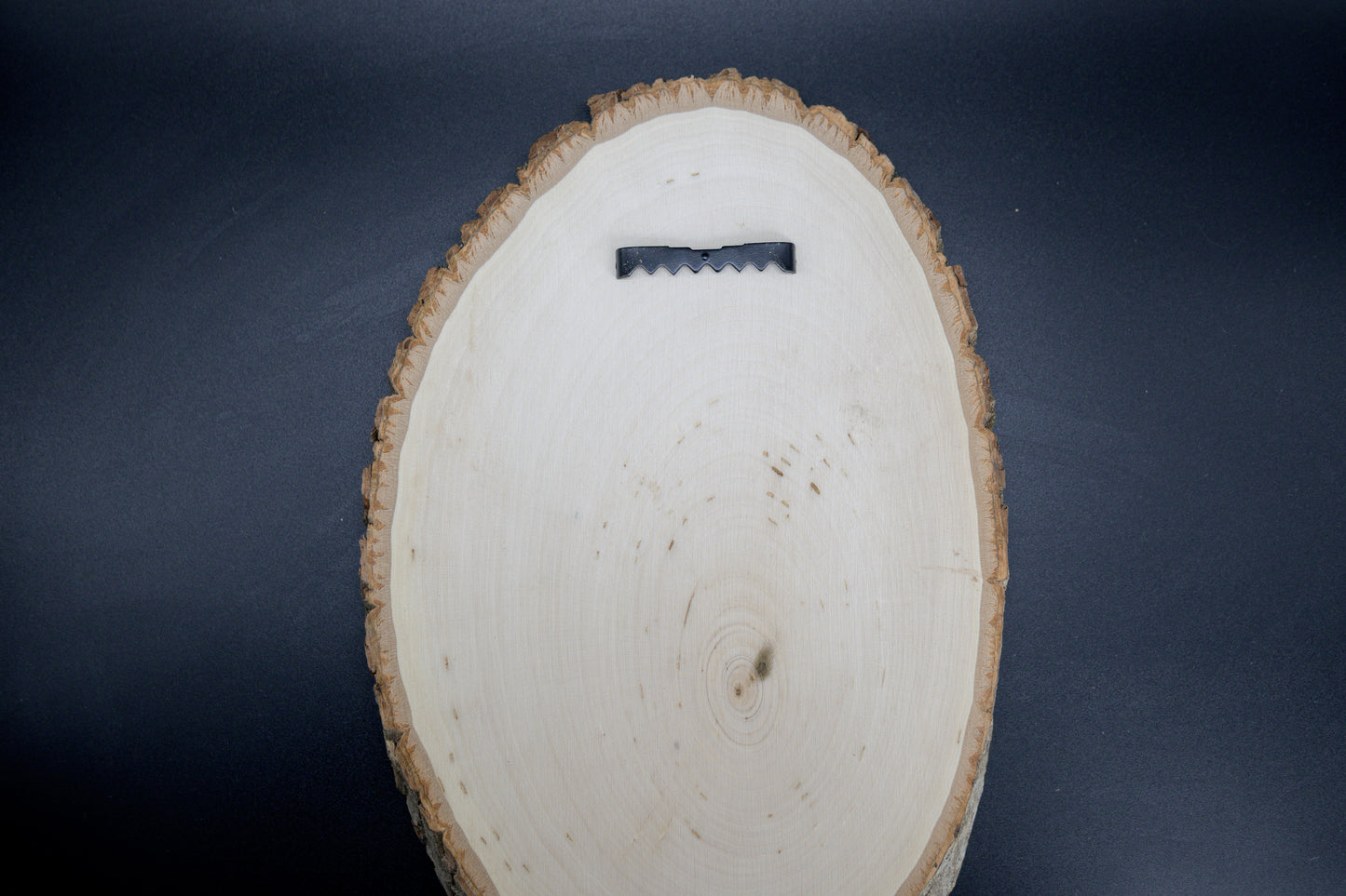 Capybara Reading Wood Art, Capybara Engraved on Basswood Oval with Live Edge