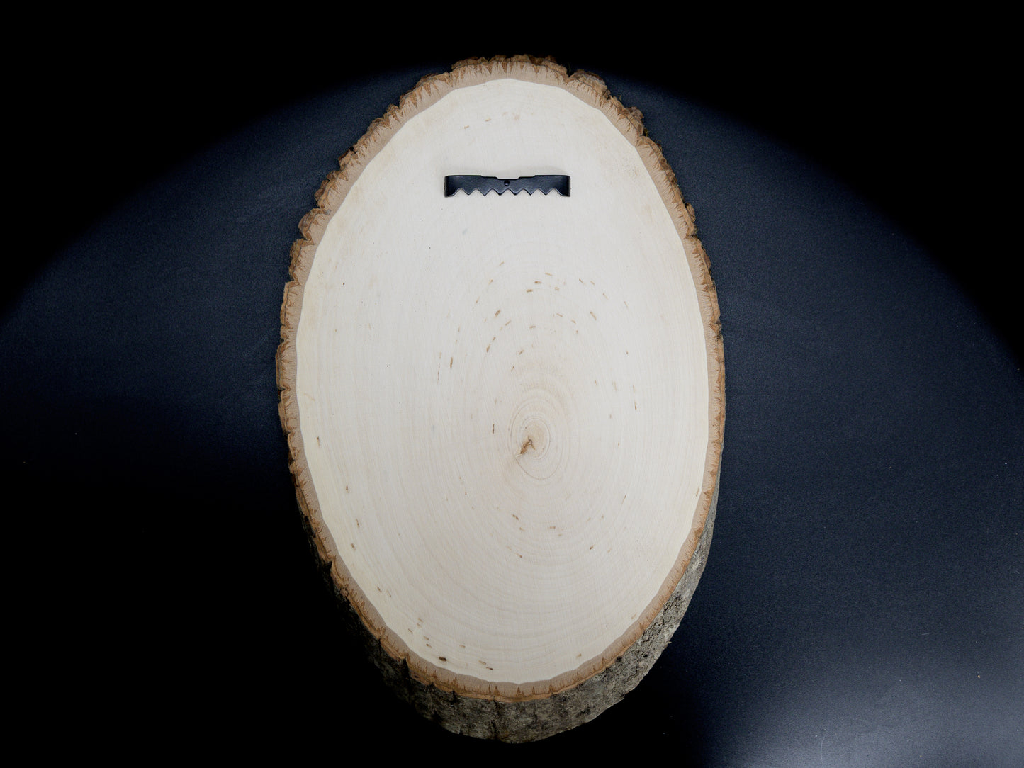 Dungeon Meowster Wood Art, DM Cat Engraved on Basswood Oval with Live Edge