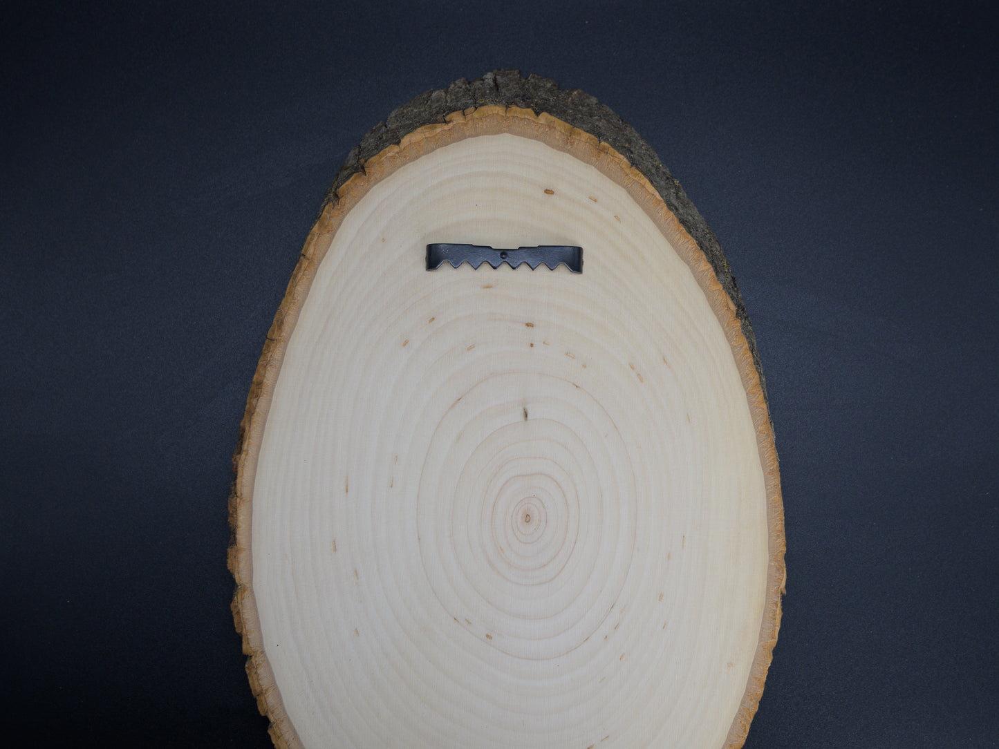 Dragon Wood Art, Reading Dragon Engraved on Basswood Oval with Live Edge