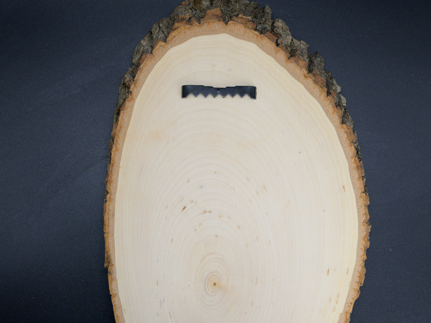 Owl Mushrooms Wood Art, Cottagecore Owl with Mushrooms Engraved on Basswood Oval with Live Edge (Copy)