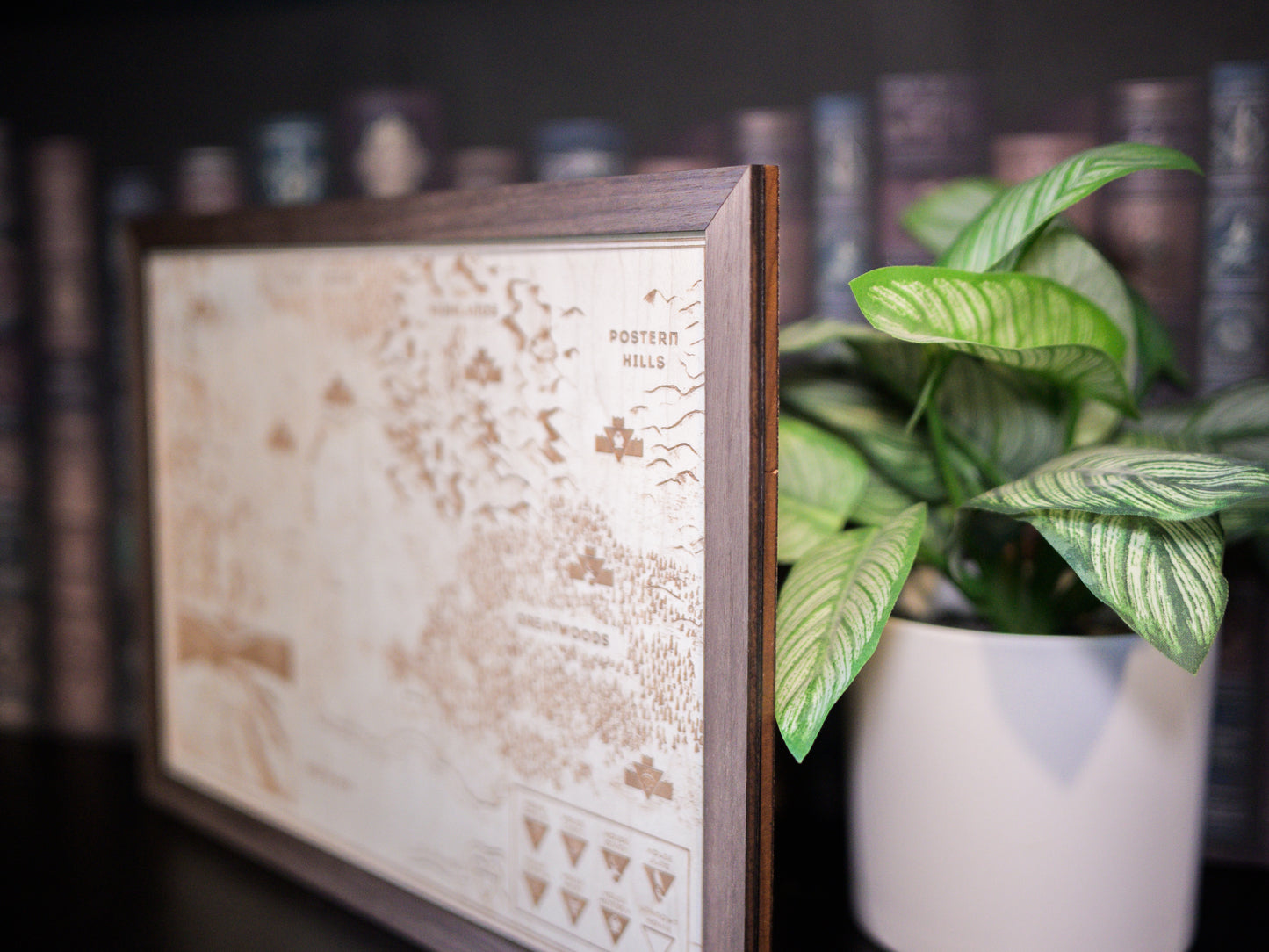 Red Rising Wood Engraved Display Map