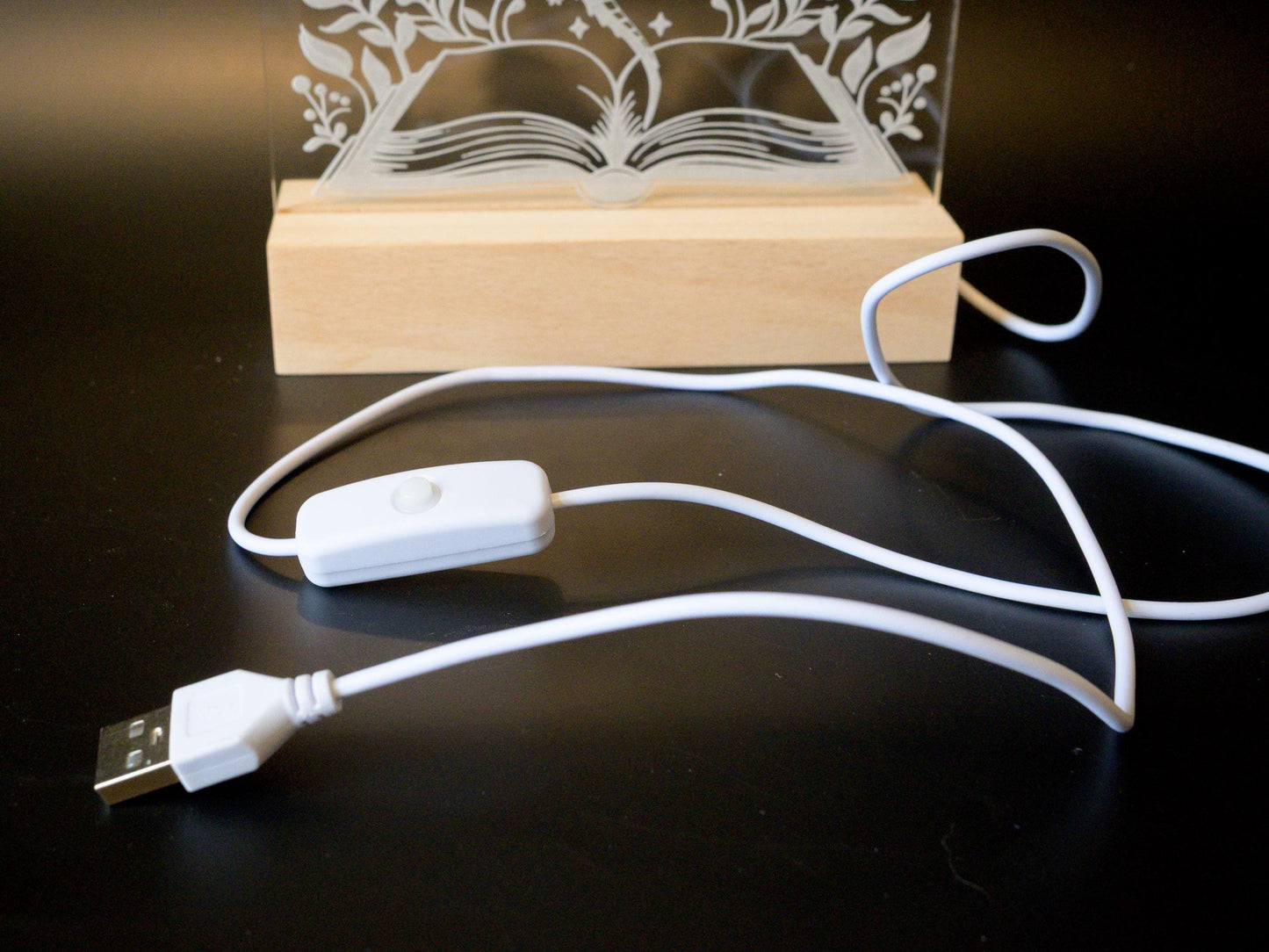 Book Dragon Lighted Sign: Fantasy Bookshelf Decor LED