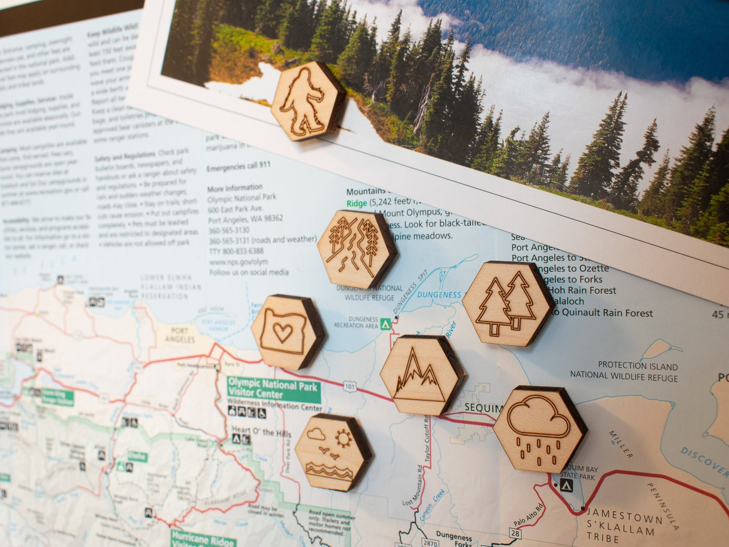 Oregon Magnets, Small Wood Magnets with Pictures Representing Oregon/PNW (Pacific Northwest)